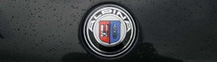 My Alpina logo